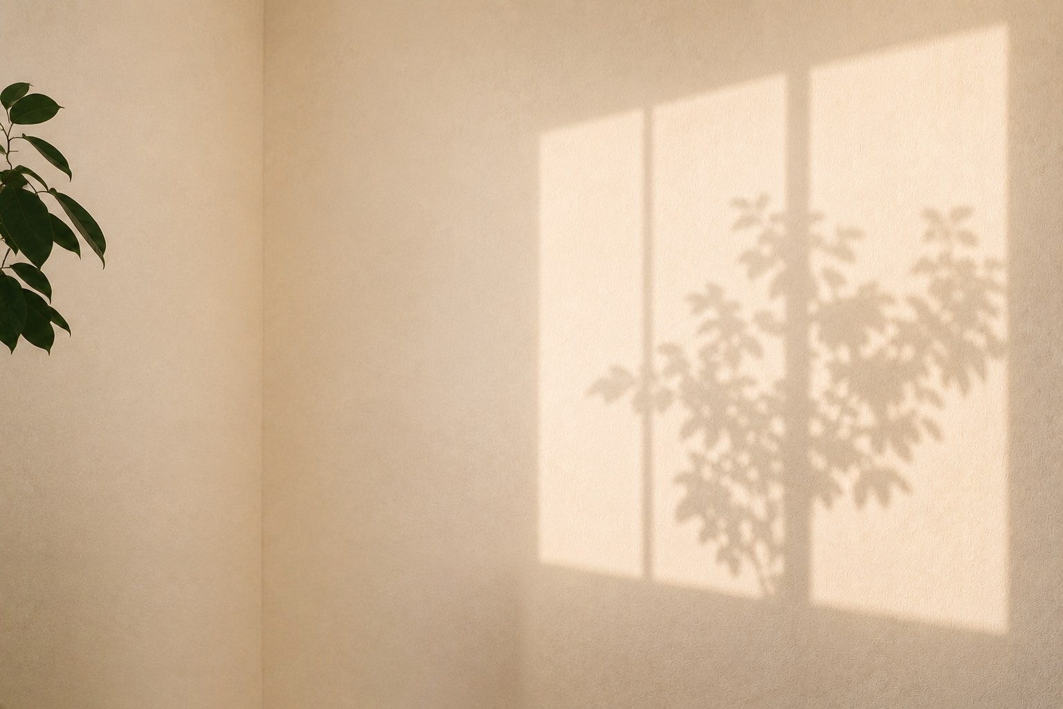 A sunlit, warm-toned room with plaster walls, a woven leather chair, and the shadow of a plant cast by afternoon light through a window.